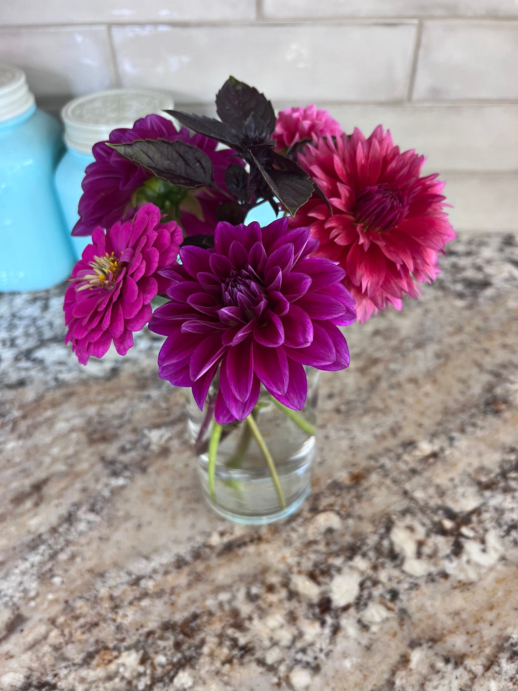 Dark Dahlias Mystery