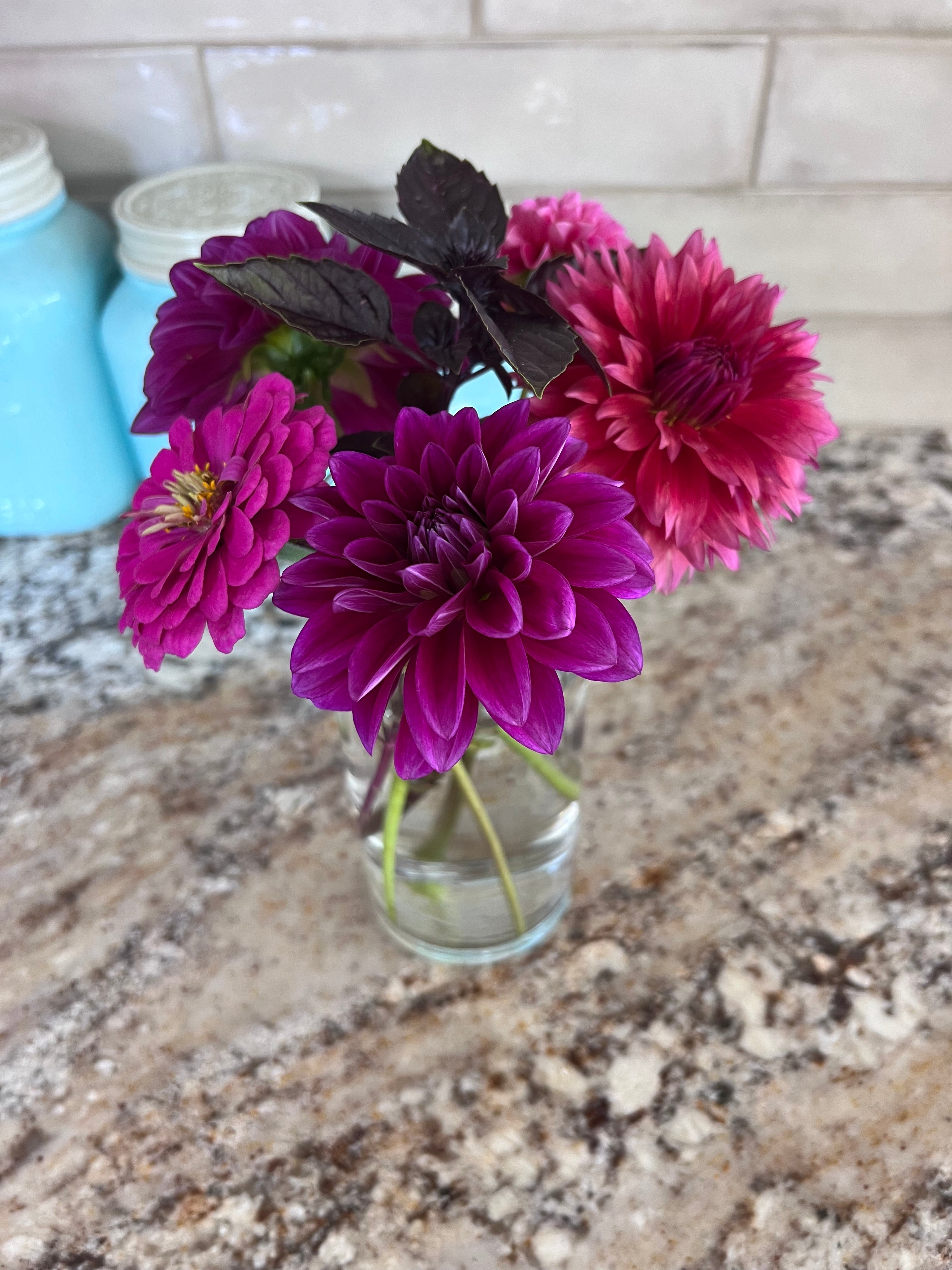 Dark Dahlias Mystery