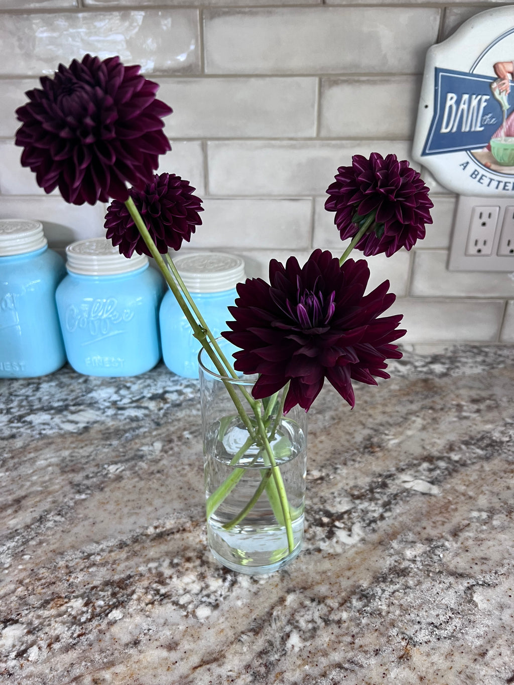 Dark Dahlias Mystery