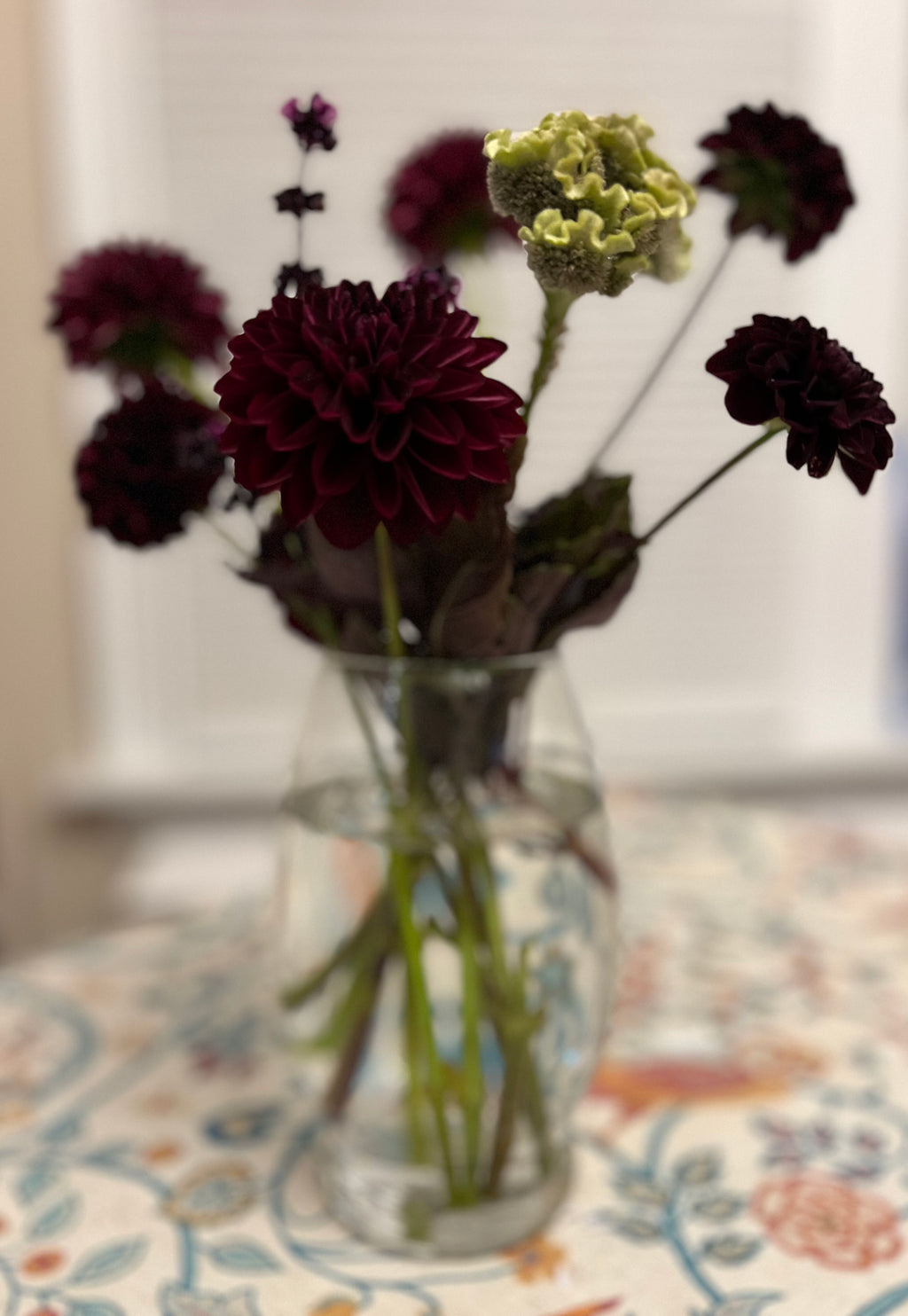 Dark Dahlias Mystery