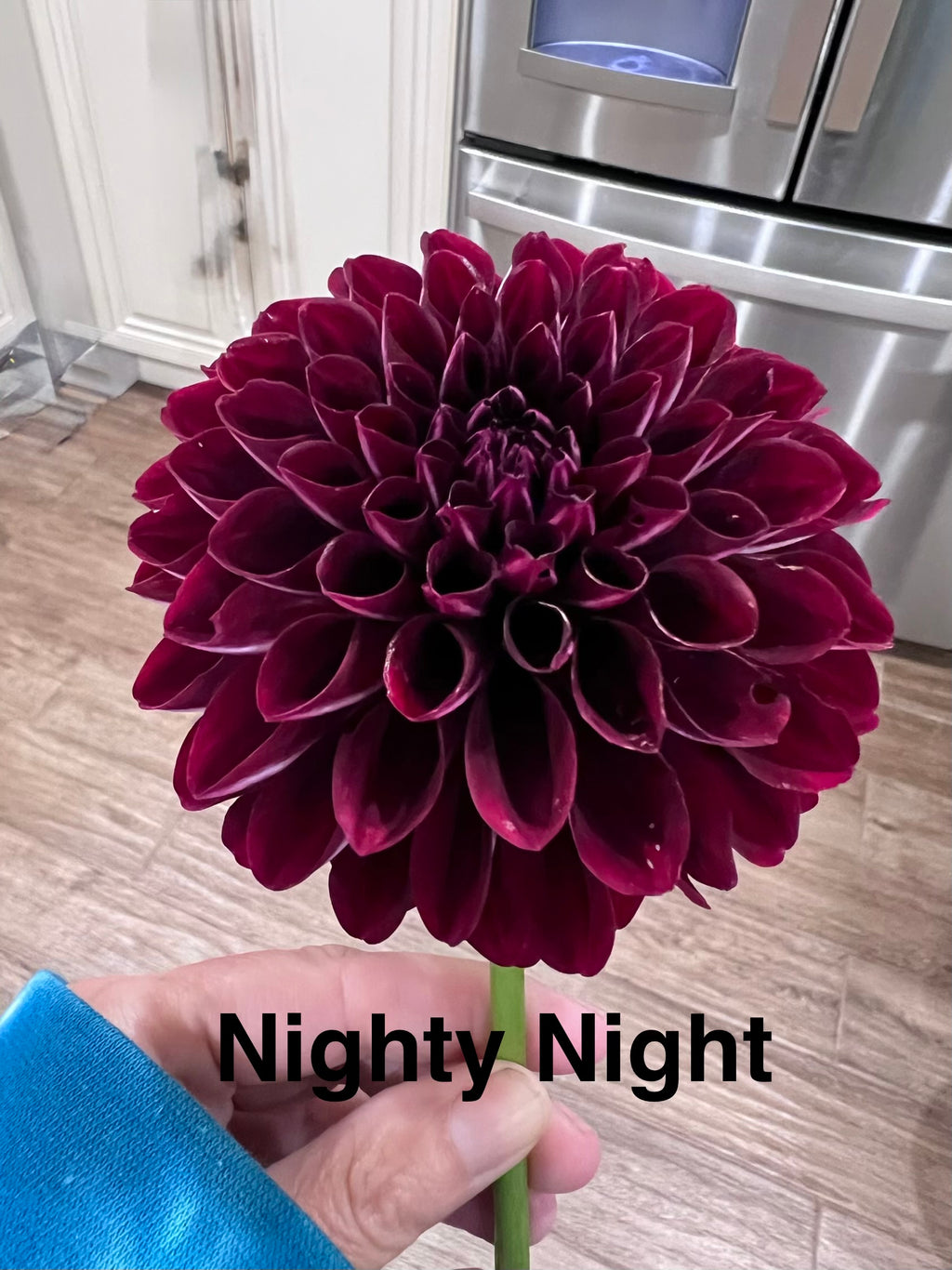 Dark Dahlias Mystery