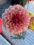 Tuscany