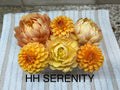 HH Serenity