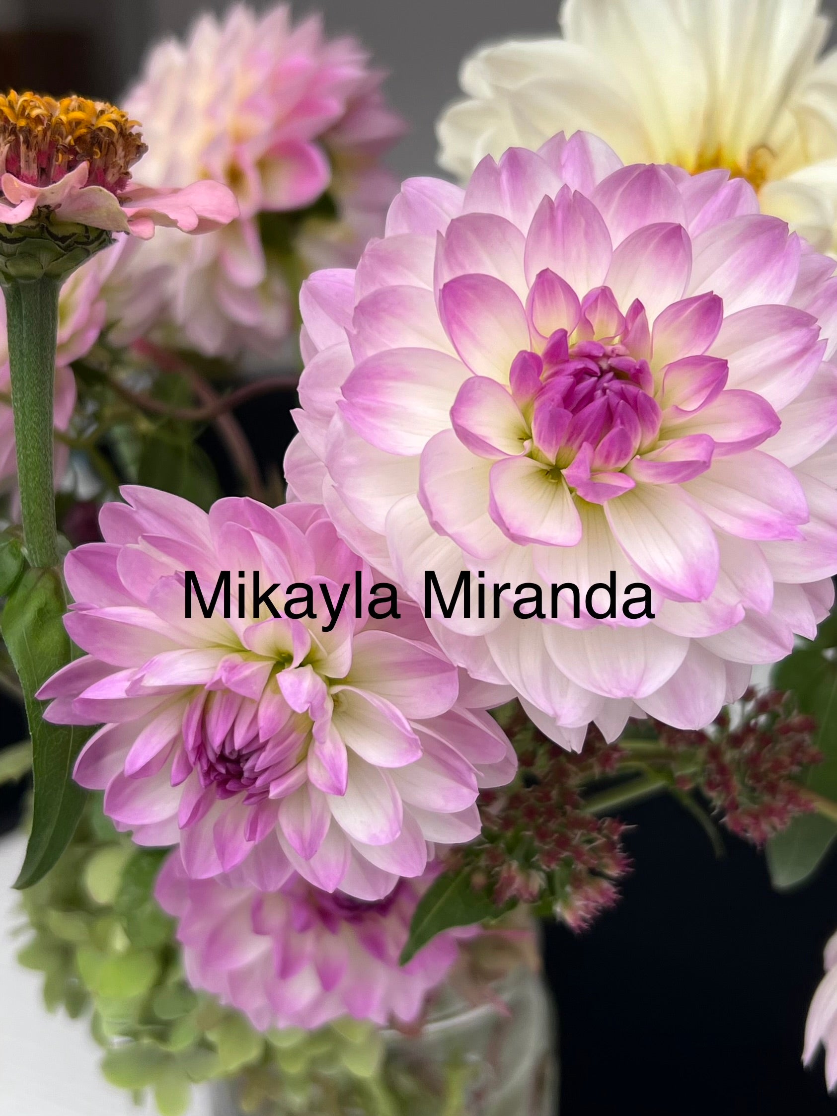 Mikayla Miranda